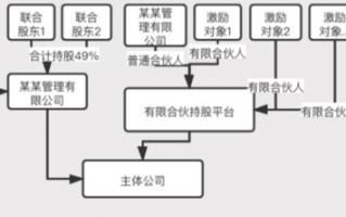 建立持股平台流程（建立持股平台流程是什么）