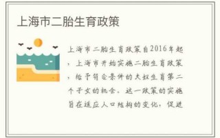 上海单独二胎办理流程（上海单独二孩政策实施时间）