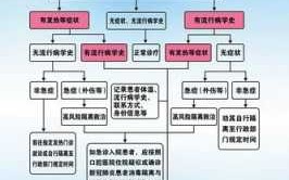 开口腔诊所流程（开口腔诊所流程图）