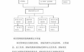 招标代理机构工作流程（招标代理机构工作范围）