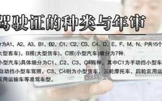 c1审照流程（c1驾照审证需要什么手续）