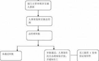 社会保险规程流程（社会保险政策最新解答）