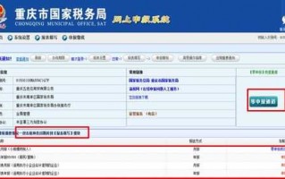 北京国税网上申报流程（北京国税网站）