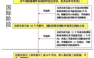 国际专利申请流程（国际专利申请流程及费用国际专利申请的费用）