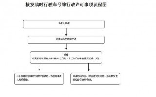 新车临时牌流程（新车临时号牌办理流程）