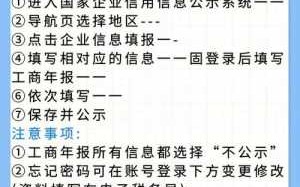 有限公司年报流程（有限公司年报流程怎么填）