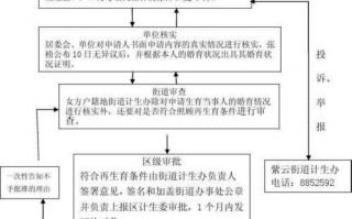 重庆再生育流程（重庆市再生育服务证办理程序）