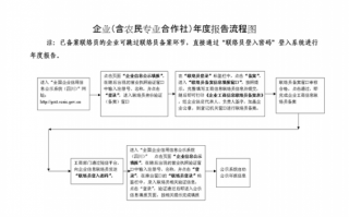 年度报告流程（年度报告流程怎么写）