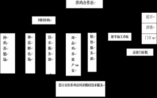 养殖户合作流程（养殖户公司合作模式）