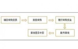 网上怎么申购新股流程（网上如何申购新股流程）