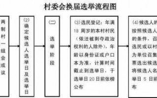 农村选举选举流程（农村选举法流程）