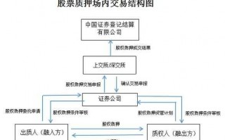 个人股票质押融资流程（股票质押用于个人融资）