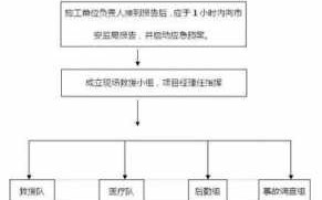 讨薪应急处置流程（讨薪应急处置流程图）