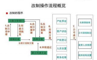 公司股份改制流程（公司股份改革方案）