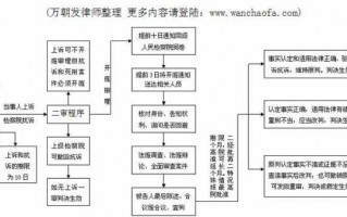 民事抗诉案件开庭流程（民事抗诉案件开庭流程图）