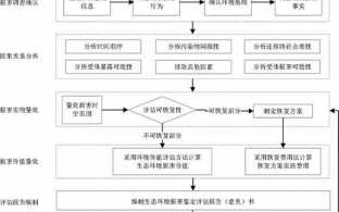 环境损害鉴定流程（环境损害鉴定流程及标准）