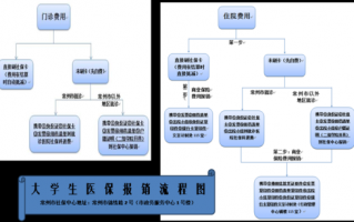 大学生医保卡报销流程（大学生医保报销怎么报销）