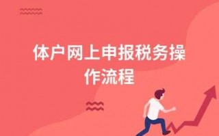 个体免税申报流程（免税个体户怎么网上申报）