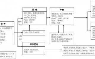 办理林业执照流程（办理林业证怎样办）