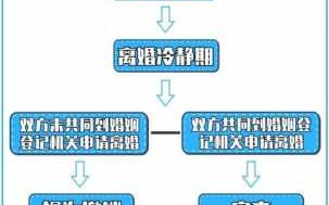 夫妻过户换牌流程（夫妻过户换牌流程图）