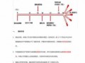 pct专利申报流程（pct申请专利）