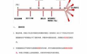 pct专利申报流程（pct申请专利）