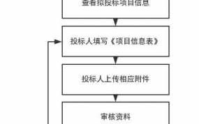 电子投标的流程（电子投标流程详细步骤）