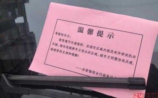 违停不处理流程（违法停车不去处理会怎样）