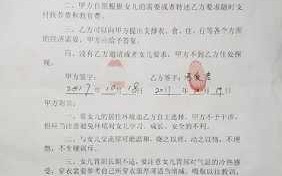 委托抚养公证流程（委托抚养协议的法律依据）