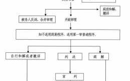 自诉案件流程6（自诉案件处理方式）