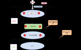 遗嘱司法取证流程（遗嘱司法取证流程图）