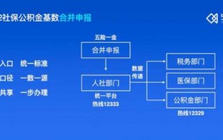 上海社保审计流程（上海社保案审计失职）