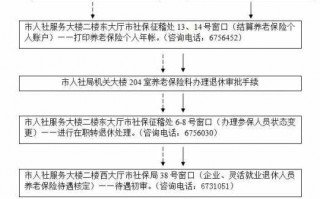 社会保险退休流程（社会保险退休需要什么手续）