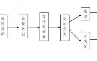 拍卖股票流程（拍卖股票流程图）