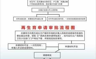 杭州生育流程图（杭州生育流程图查询）