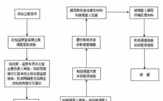 纪委审理流程（纪检审理流程图）