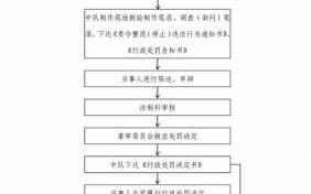 严格执行办案流程（严格执行办案流程规范）