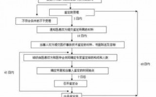 医疗过错鉴定流程（医疗过错鉴定流程图）