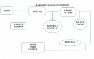 2019交社保流程（缴纳社保办理流程）