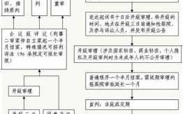 遗产法院起诉流程（遗产法院起诉流程图）