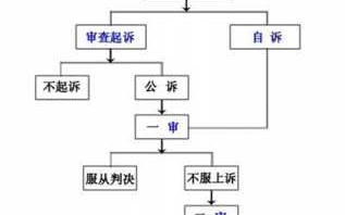 犯罪上诉流程（犯罪上诉有用吗?）