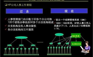 政府流程重组案例（政府流程重组案例分析）