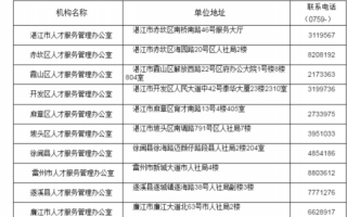 湛江档案报到流程（湛江档案报到流程及时间）