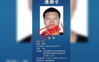 网逃到案流程（网逃到案后多久撤销通缉）