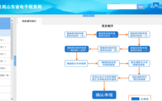 国税申报系统流程（国税系统报税步骤）