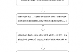 资金支付审核流程（资金支付审核流程是什么）