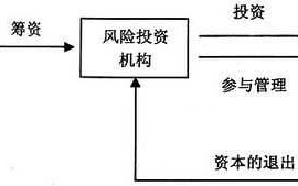 风险投资运作流程（风险投资运作方式是什么）