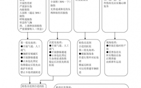 验伤分类的流程（验伤顺序是什么）