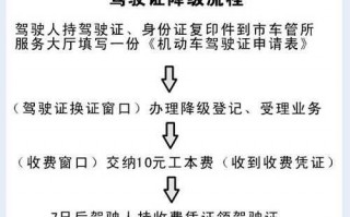 驾照降级流程资料（驾照降级需要提交什么材料）