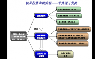 企业向境外投资流程（企业境外投资有什么要求）